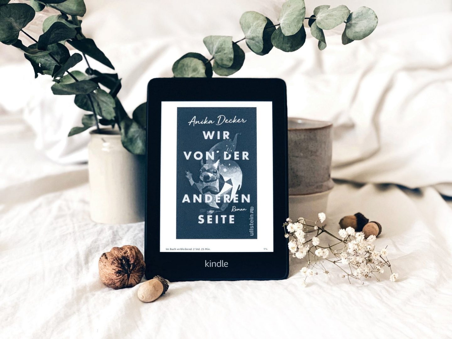 Rezension Anika Decker – Wir von der anderen Seite