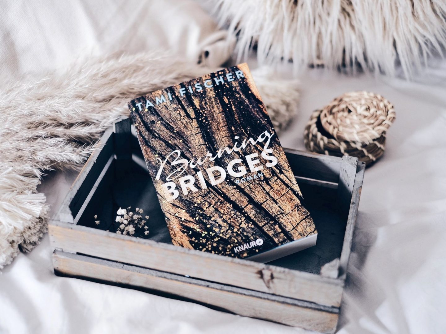 Rezension Tami Fischer – Burning Bridges