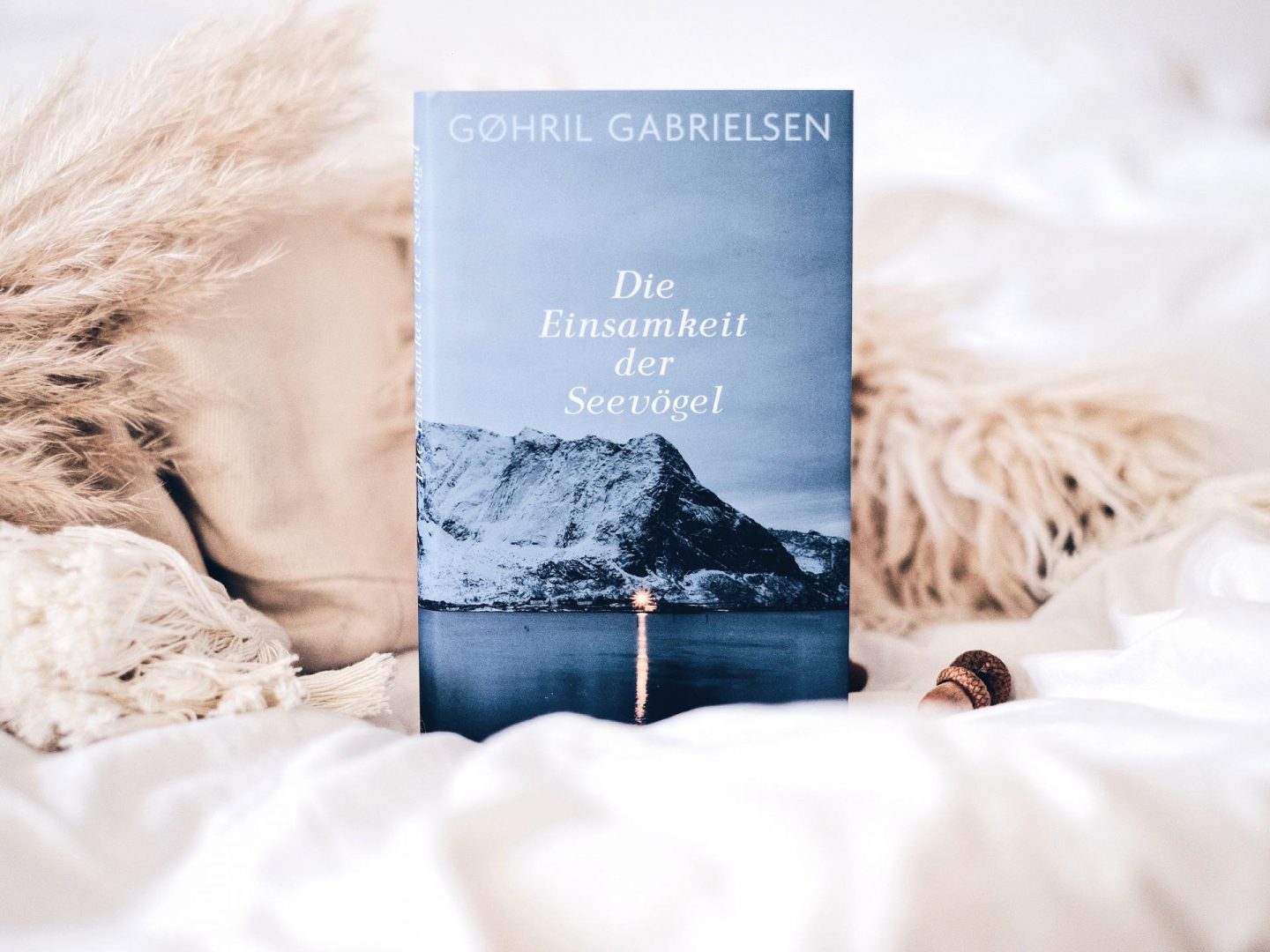 Rezension Gøhril Gabrielsen – Die Einsamkeit der Seevögel