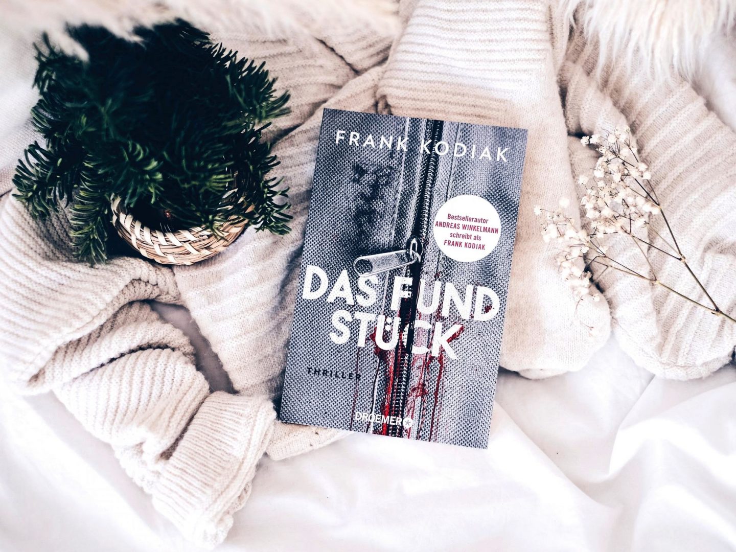 Rezension Frank Kodiak  – Das Fundstück