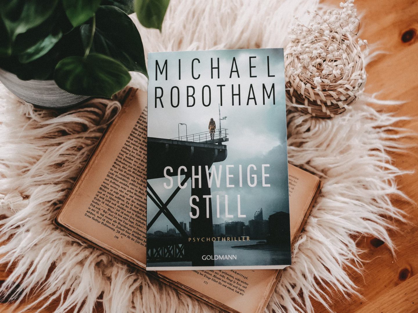 Rezension Michael Robotham – Schweige still