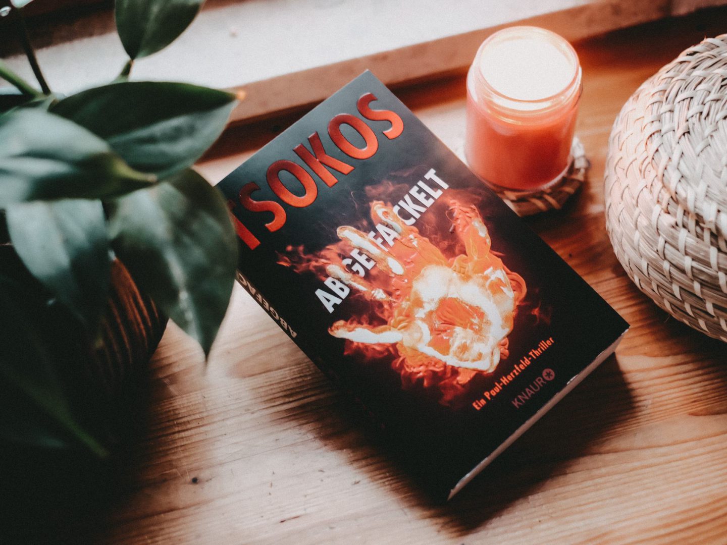 Rezension  Michael Tsokos – Abgefackelt