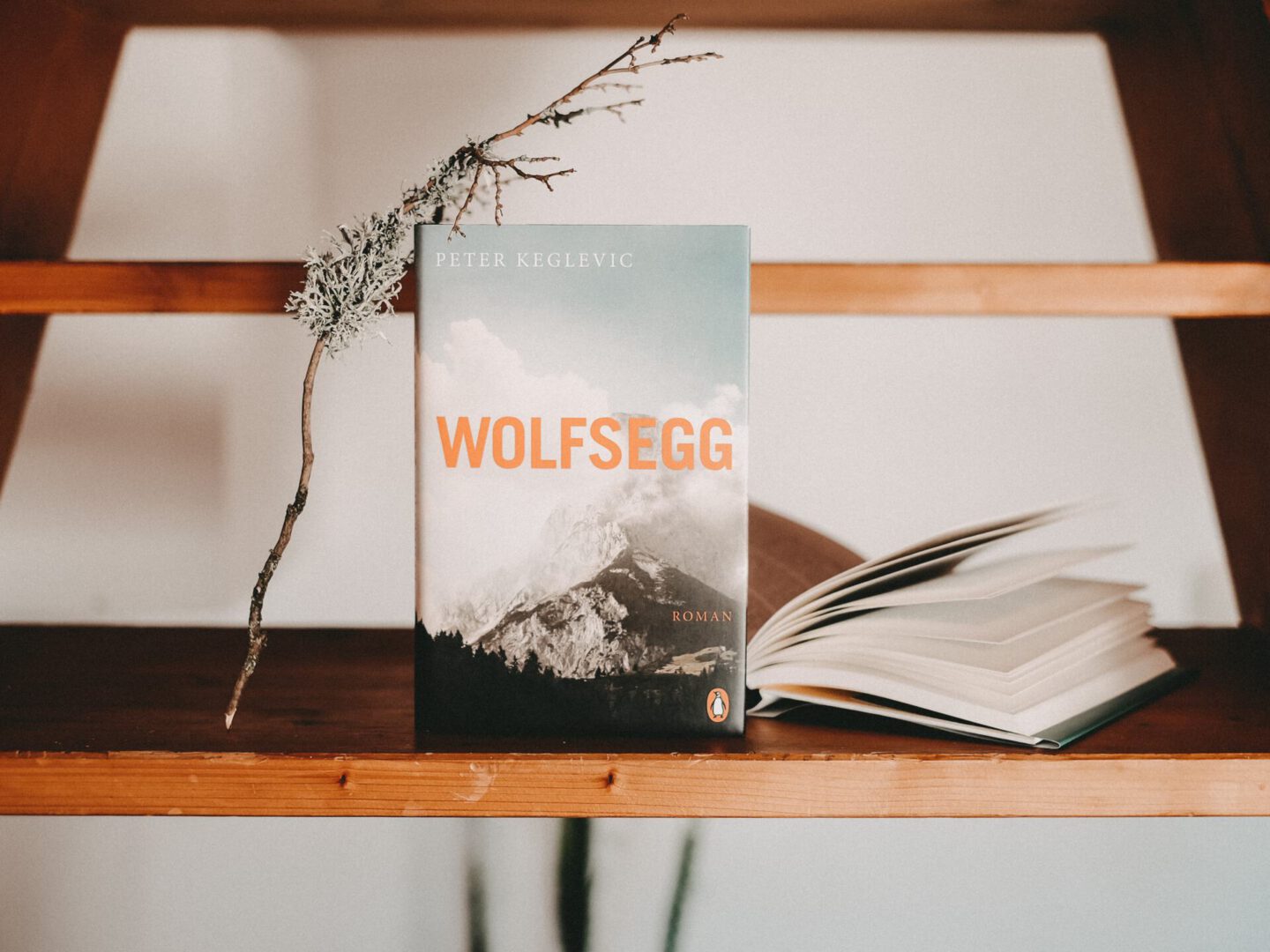 Rezension Peter Keglevic – Wolfsegg