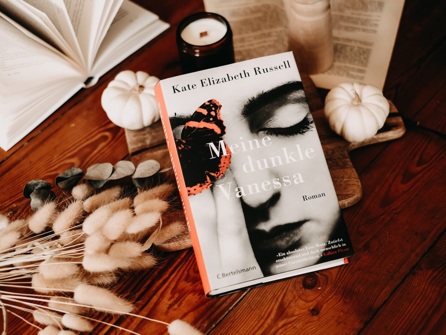 Rezension Kate Elizabeth Russell – Meine dunkle Vanessa