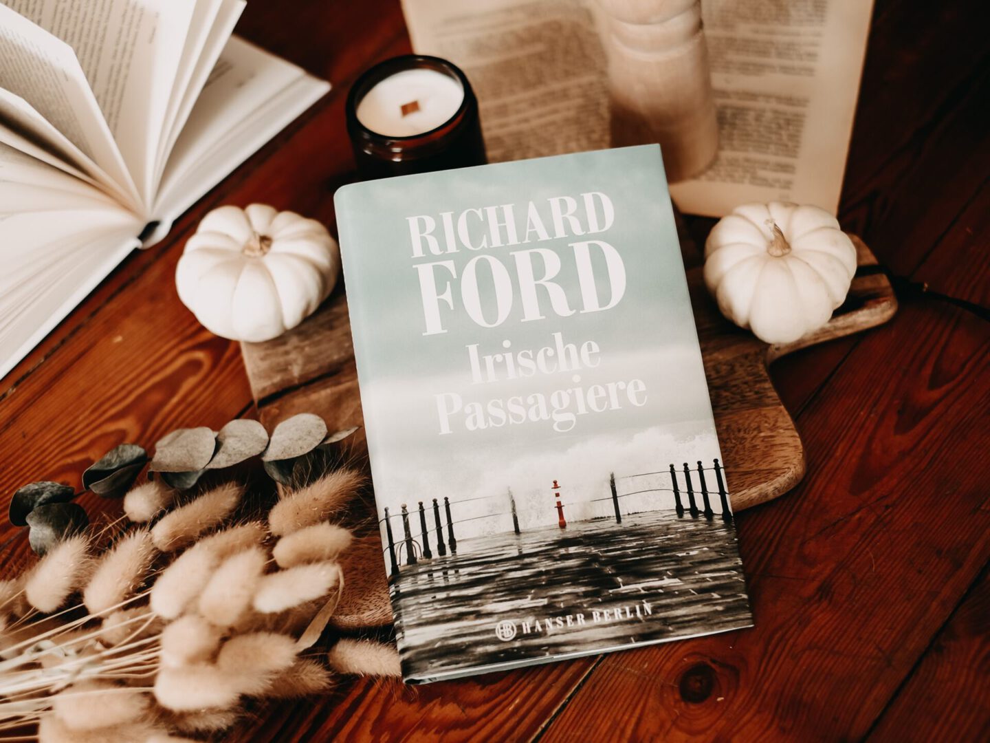 Rezension Richard Ford – Irische Passagiere