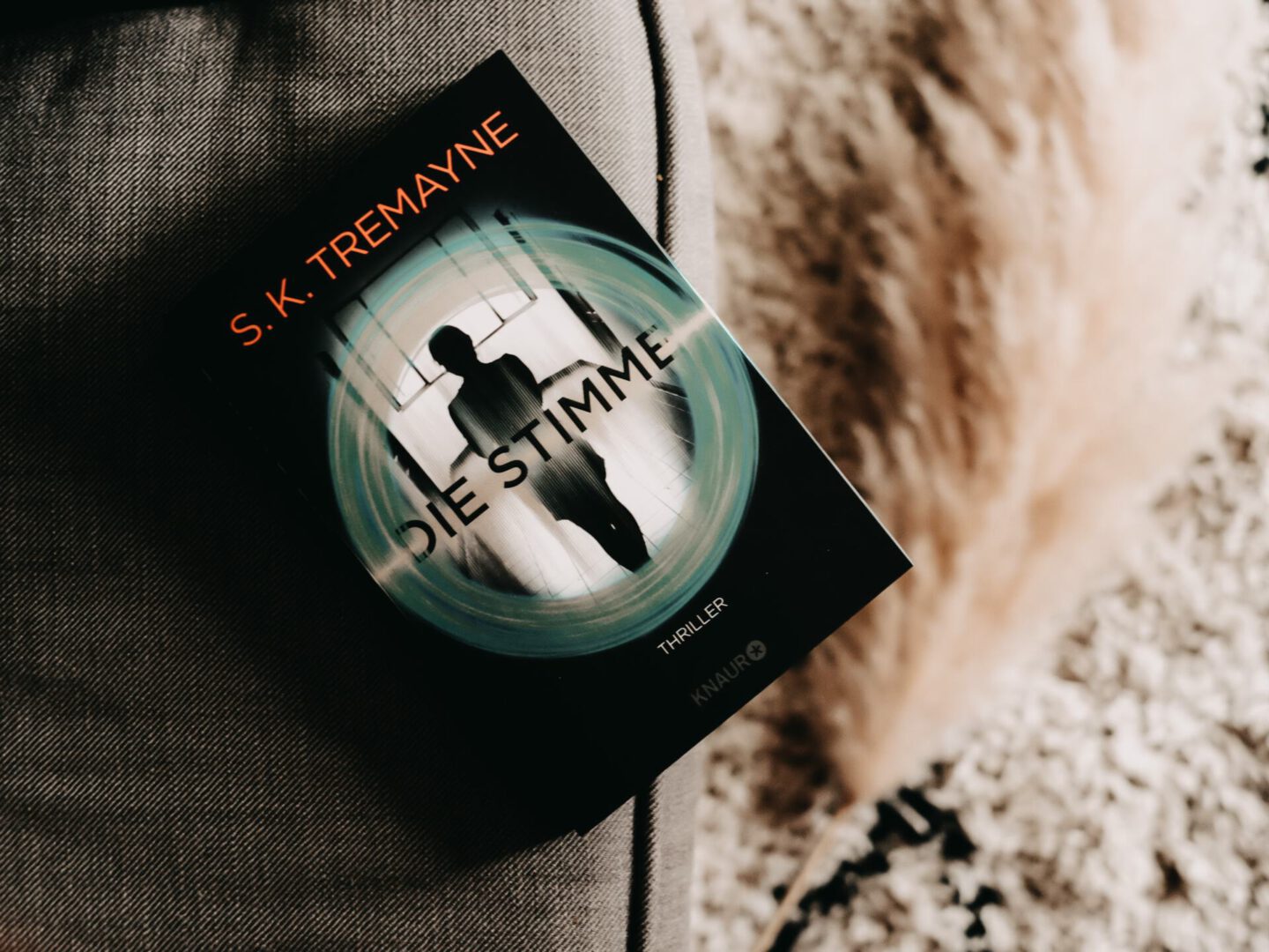 Rezension S.K. Tremayne – Die Stimme