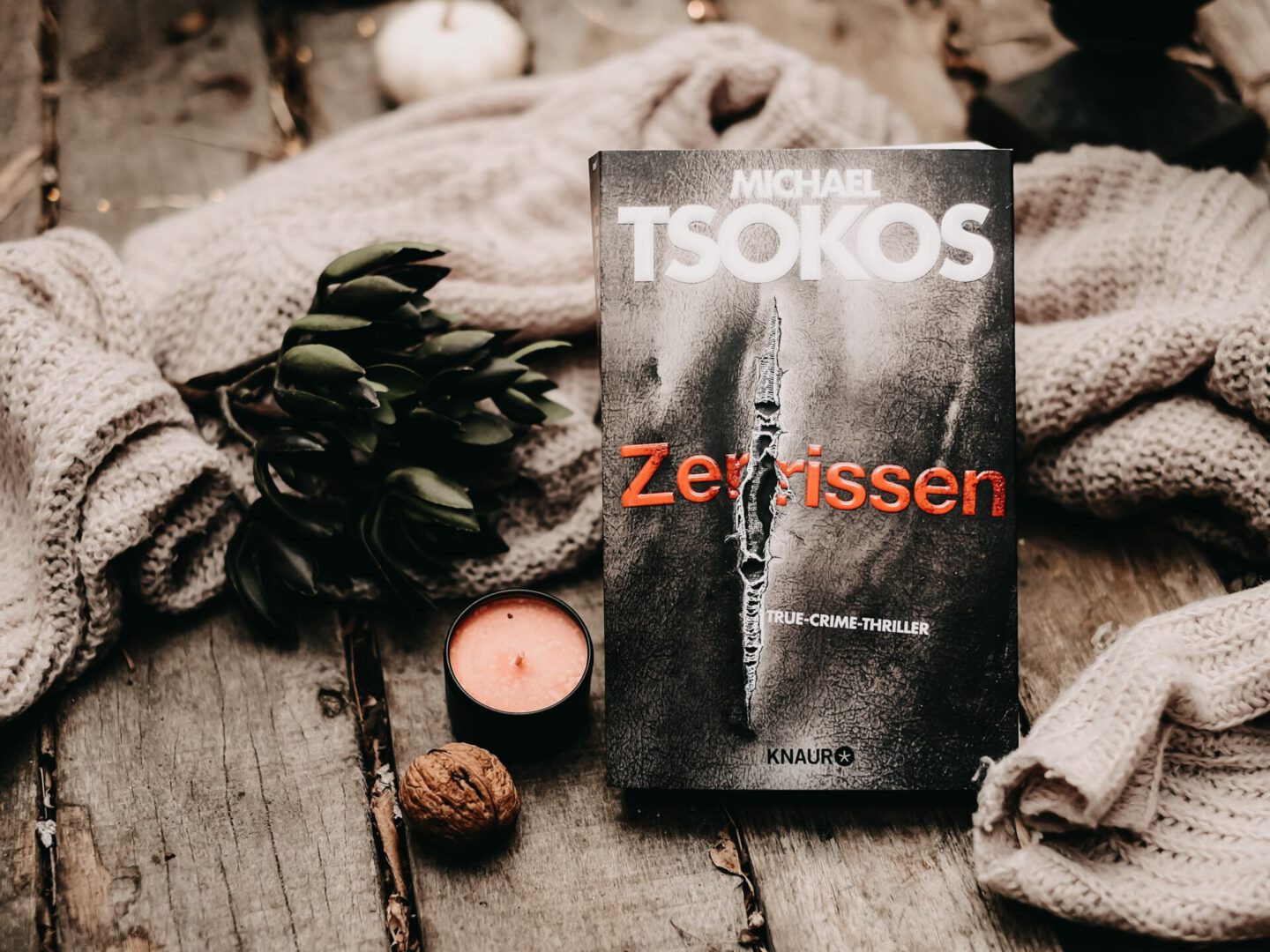 Rezension Michael Tsokos – Zerrissen (Die Fred Abel-Reihe Band 4)