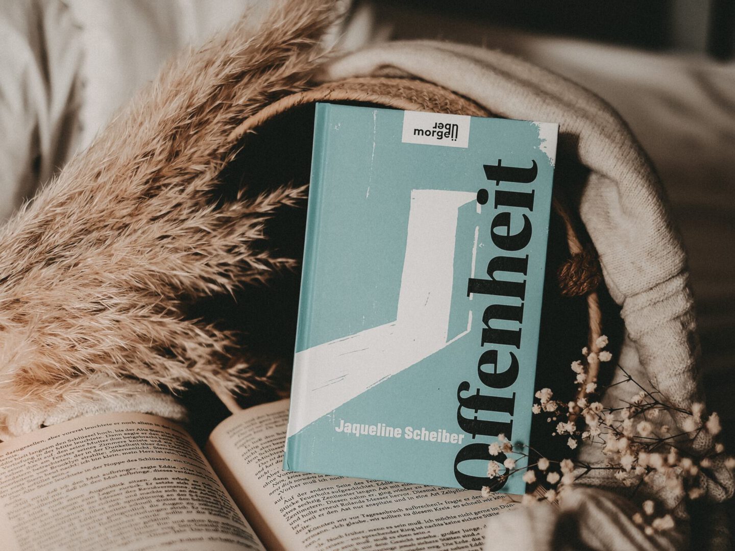 Rezension Jaqueline Scheiber – Offenheit