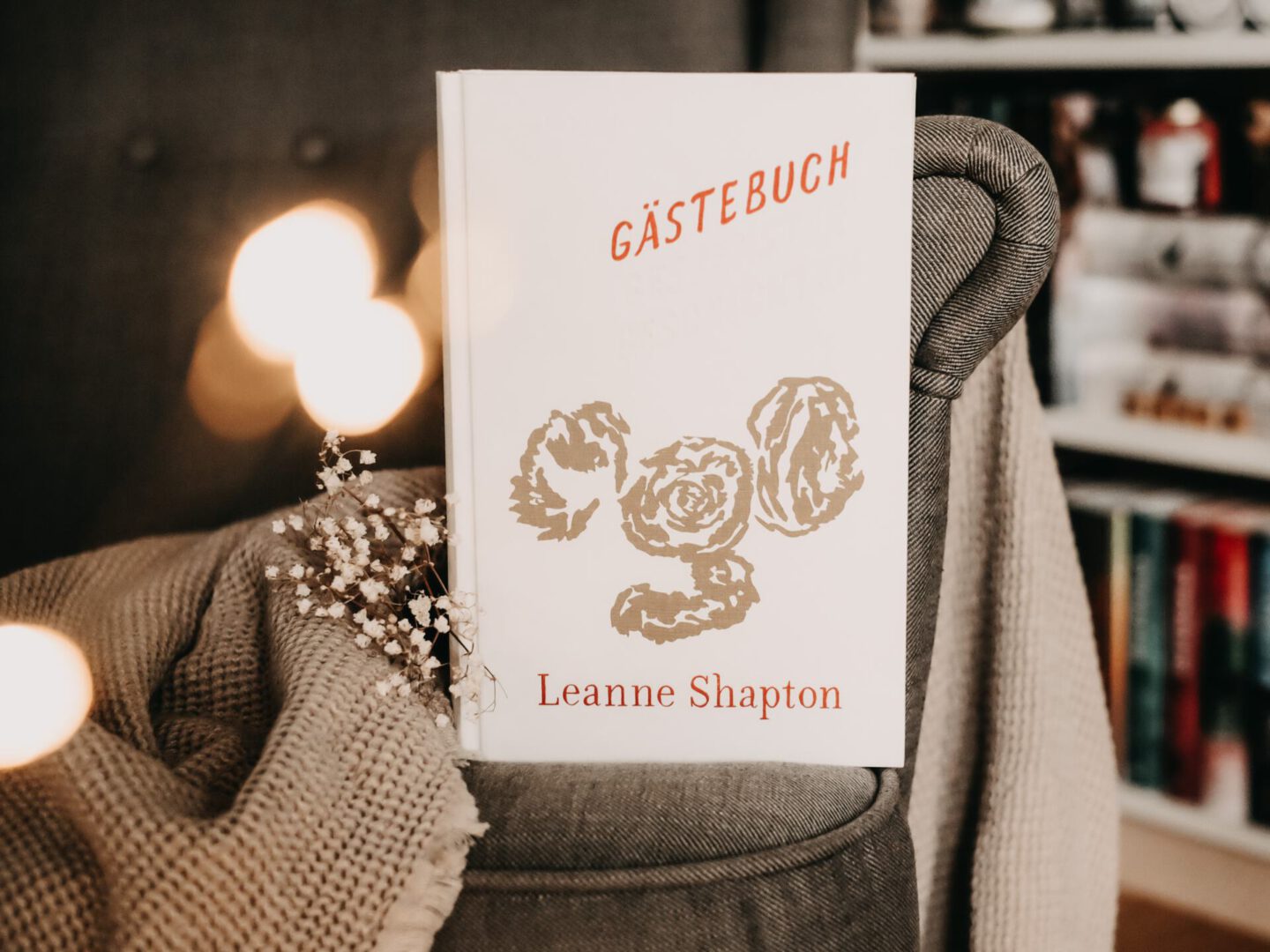 Rezension Leanne Shapton – Gästebuch – Gespenstergeschichten