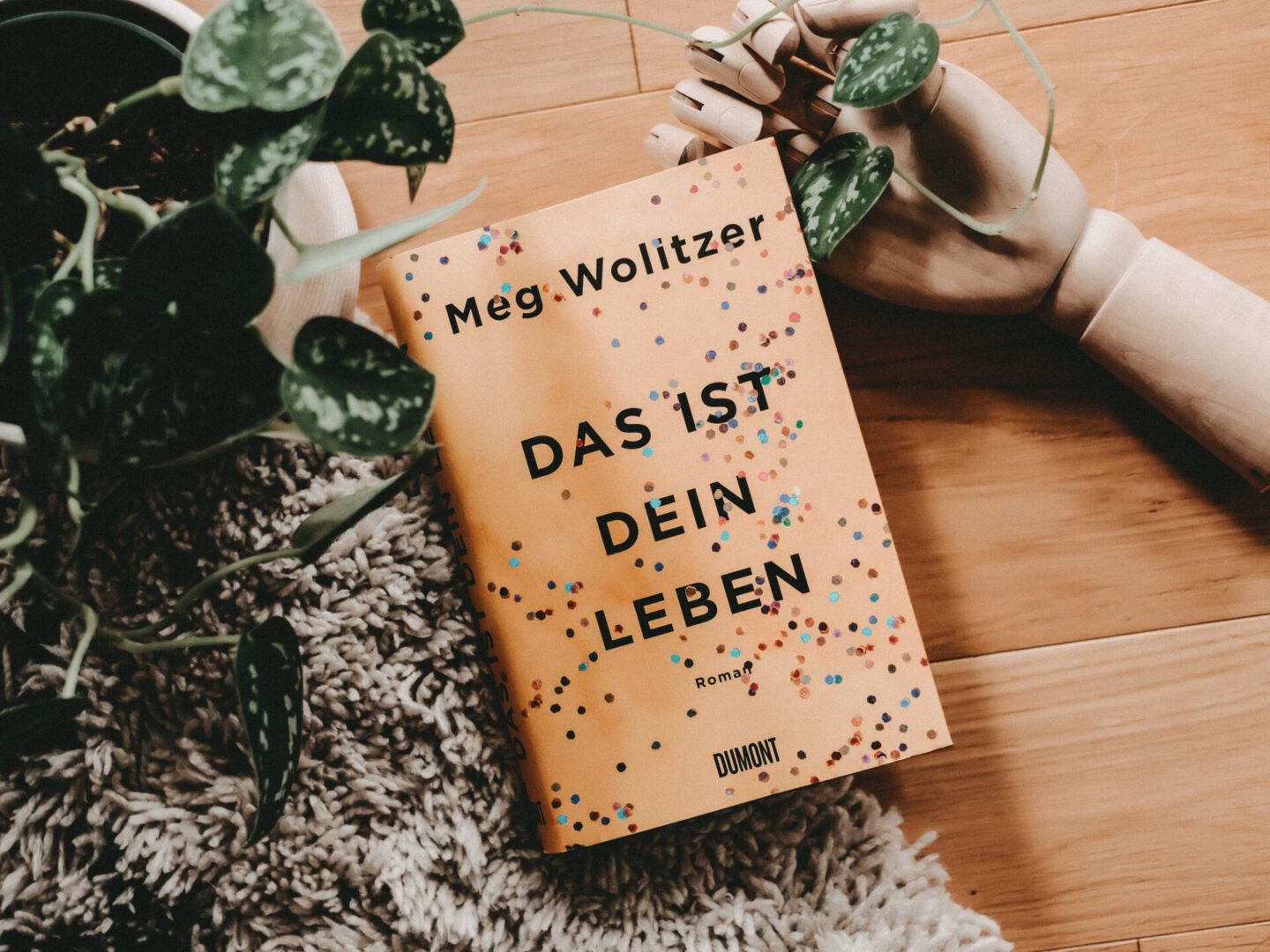 Rezension Meg Wolitzer – Das ist dein Leben