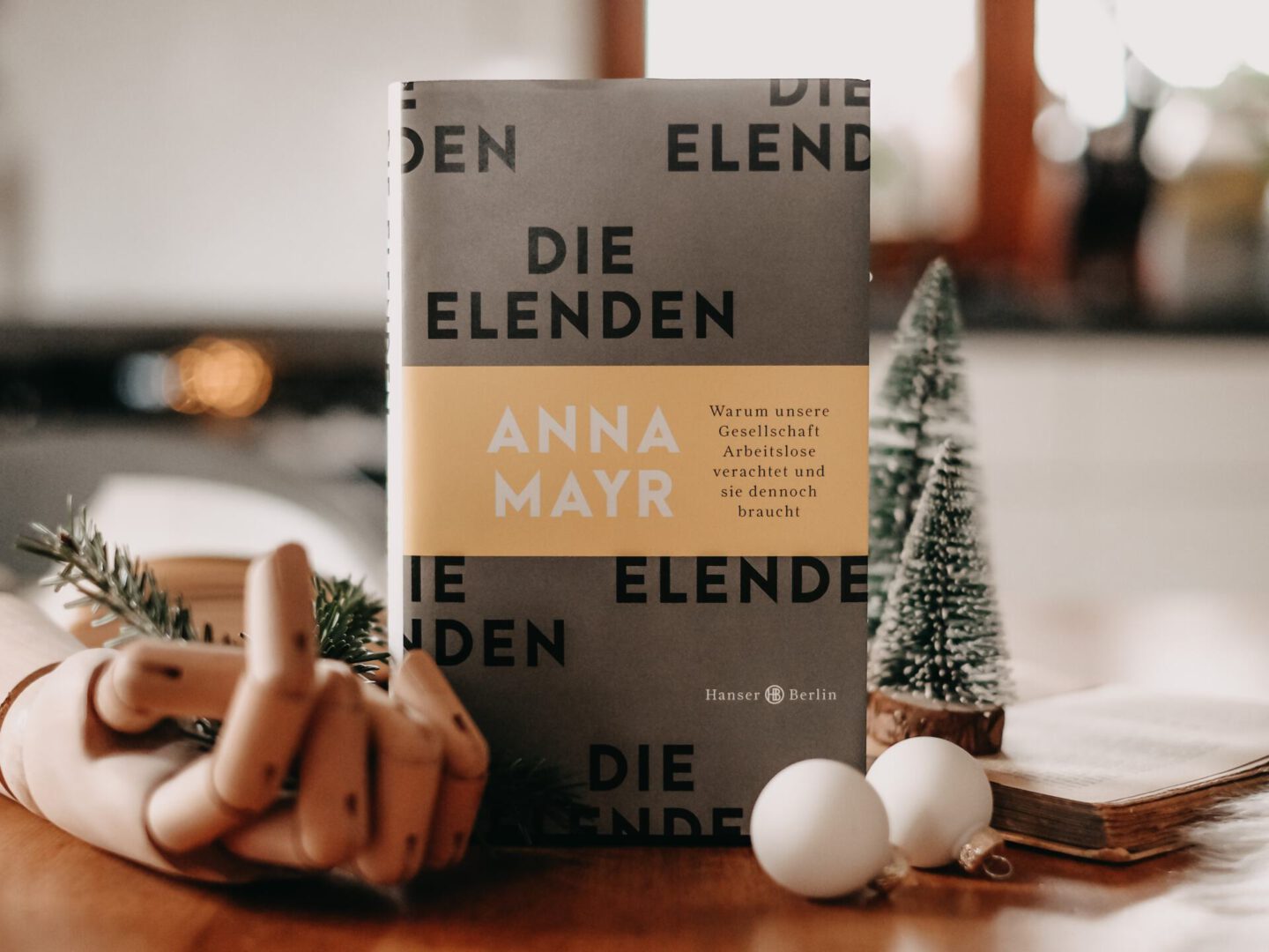 Rezension Anna Mayr – Die Elenden