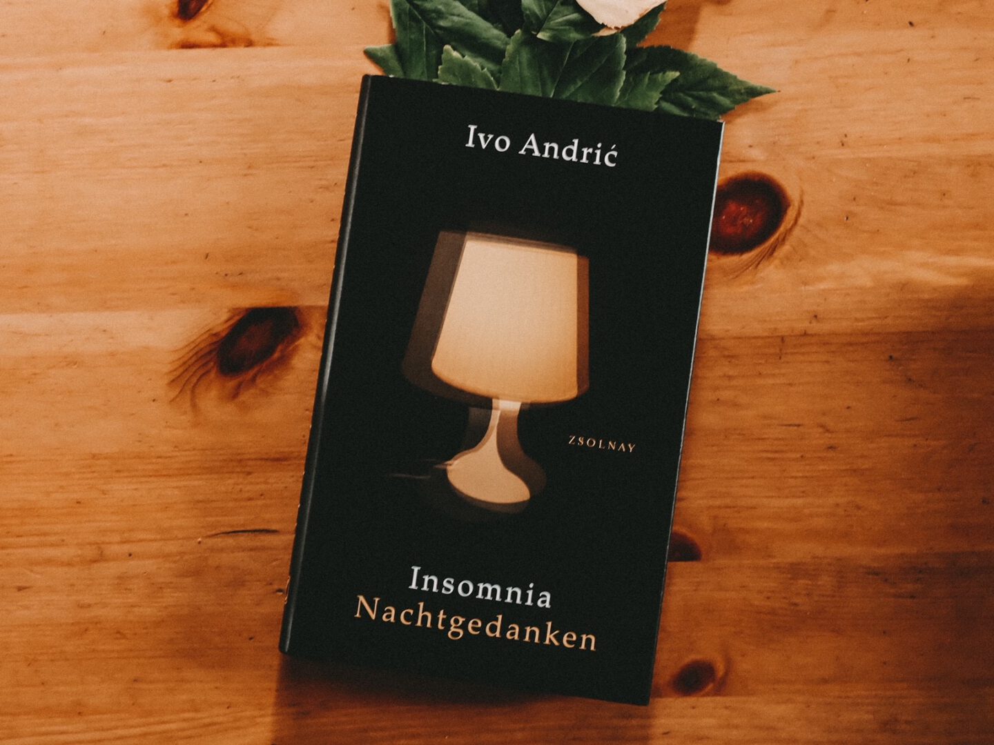 Rezension Ivo Andrić – Insomnia: Nachtgedanken